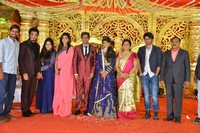 Producer Krishna Reddy Son Wedding Reception